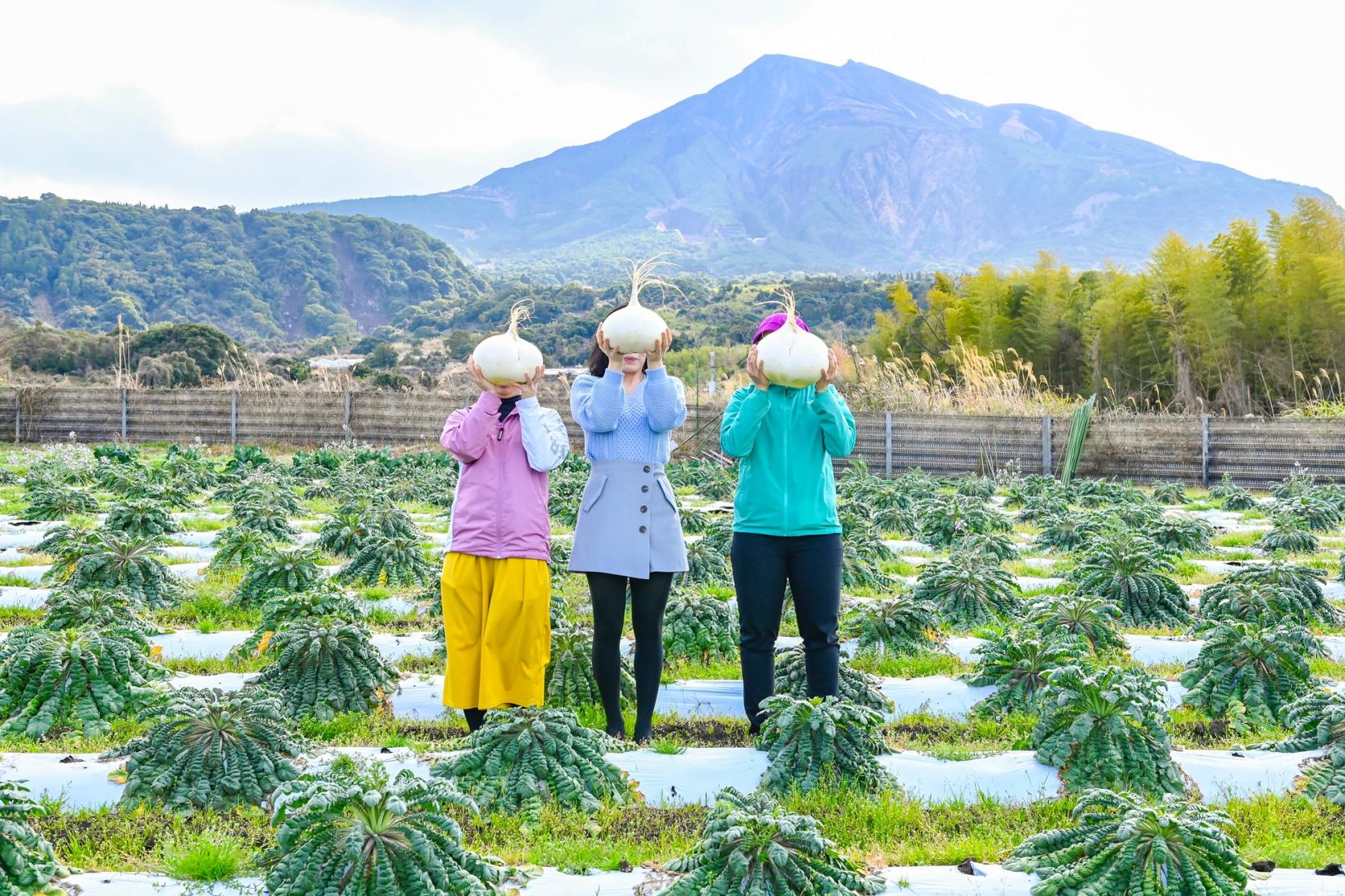 推薦想安排經典行程的你：九州「鹿兒島」必玩3日觀光路線！-0