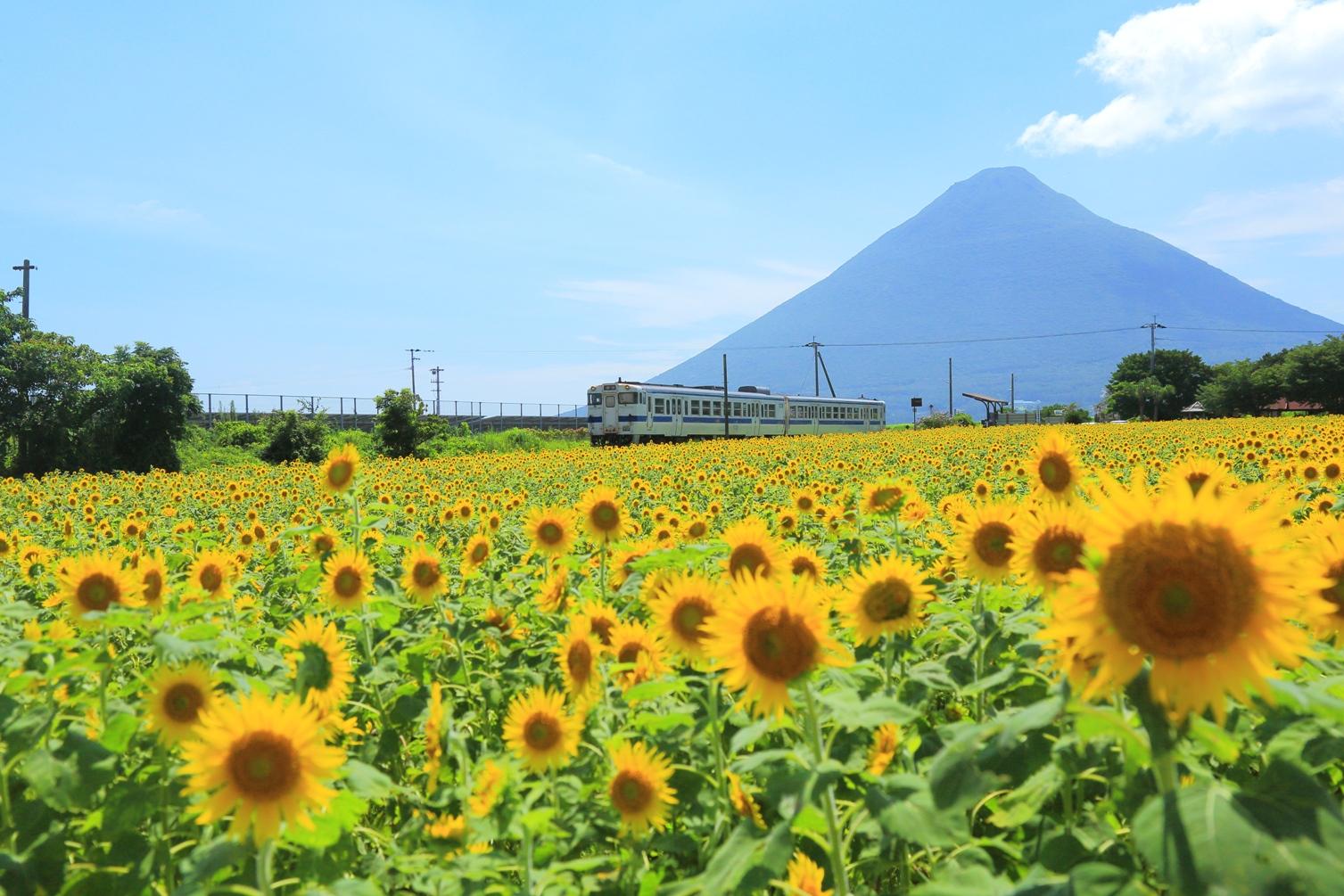 Introducing sightseeing spots in the Nansatsu route-0