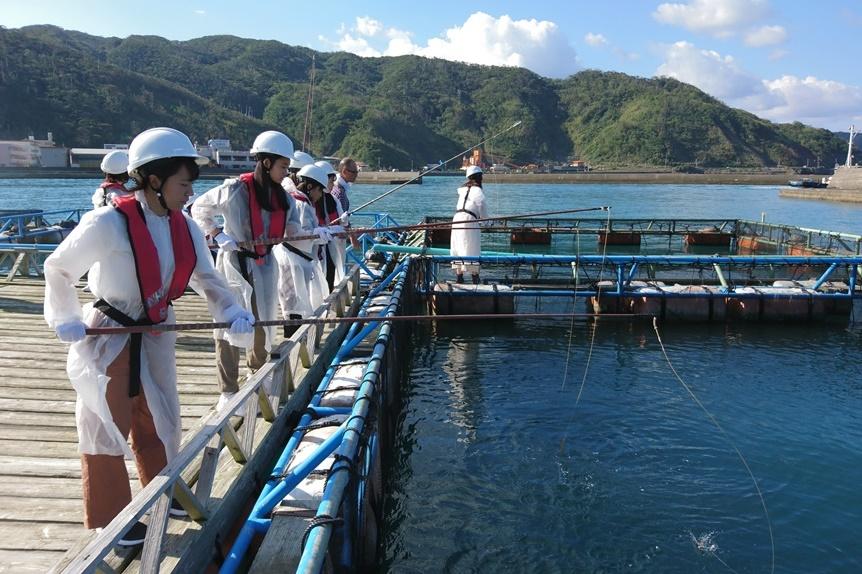 島の一本釣り漁業体験（奄美市）-0