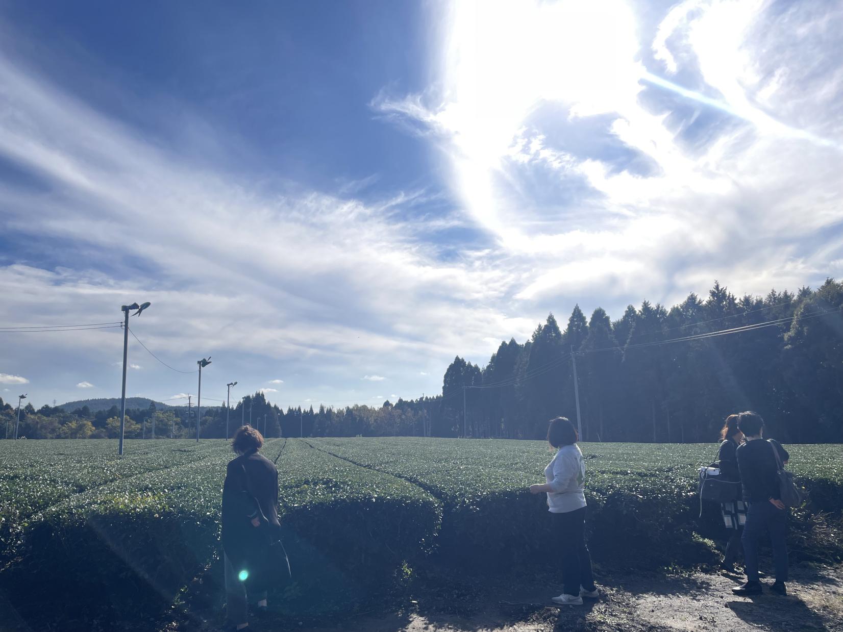 湧水茶お茶淹れ体験-1