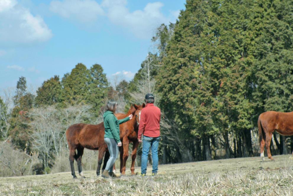 Spending time with the Horses-2