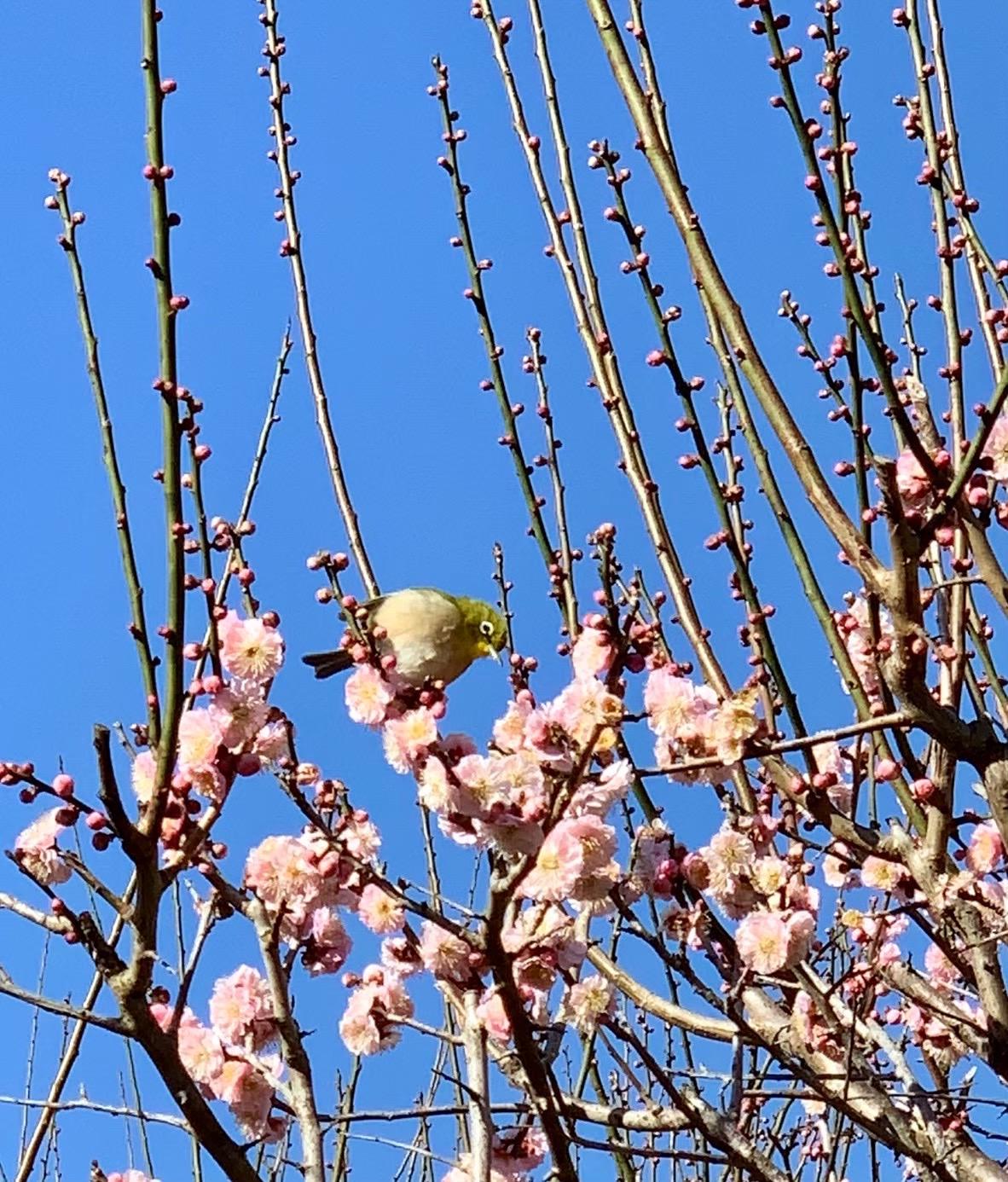 3月-0