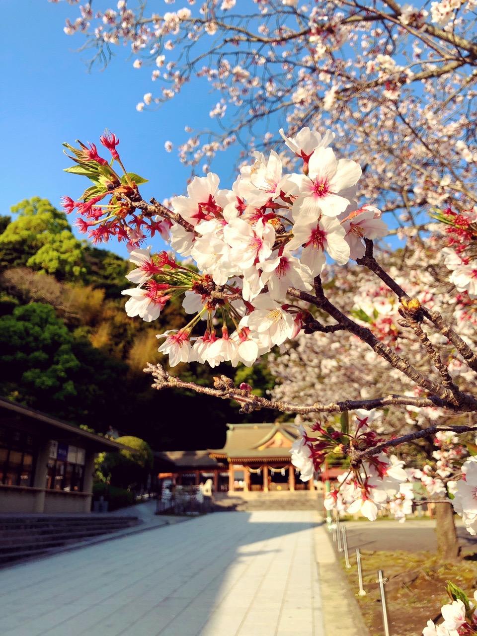 4月-0