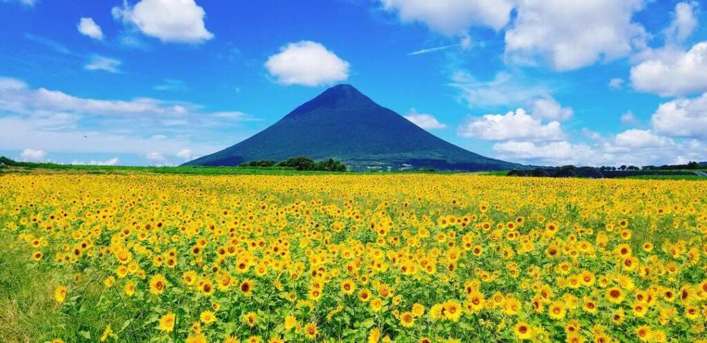 7月-0