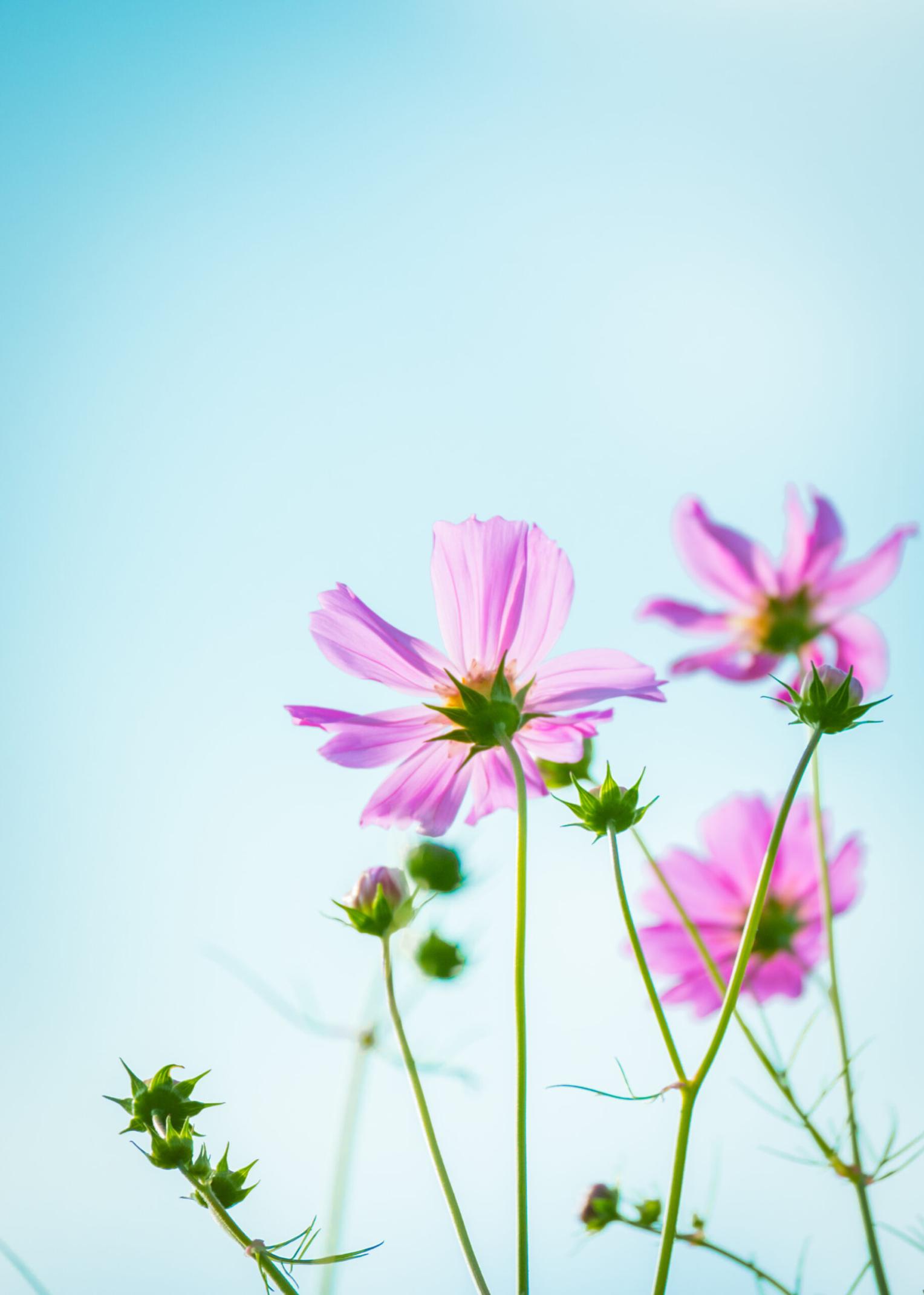 10月-0