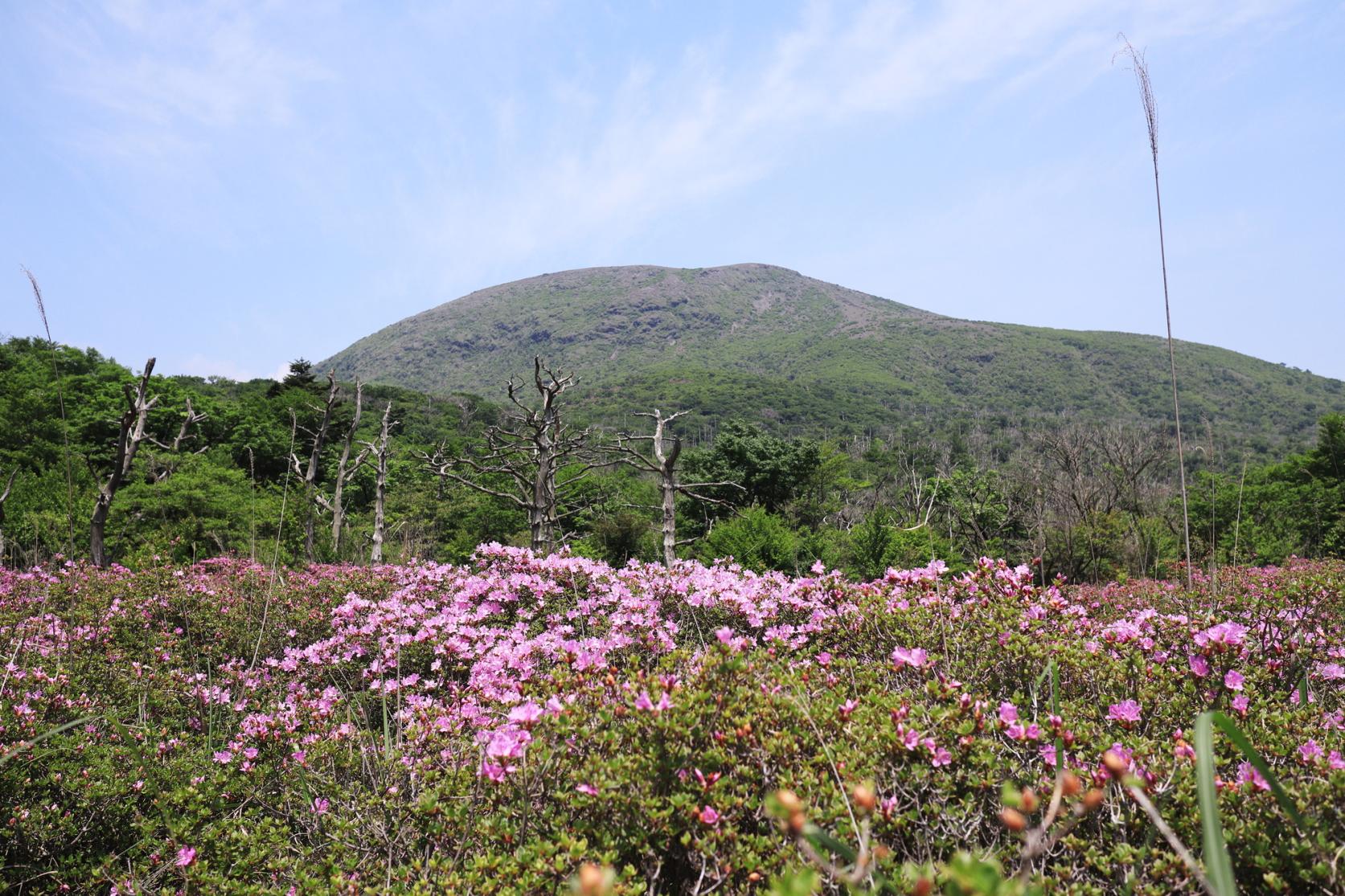 신모에다케(新燃岳)・나카다케(中岳)-6