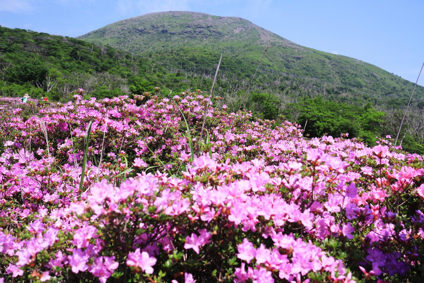 신모에다케(新燃岳)・나카다케(中岳)-5