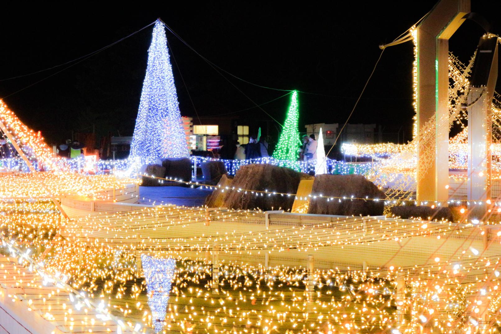 霧島ヶ丘公園　クリスマスファンタジーナイト2023-0