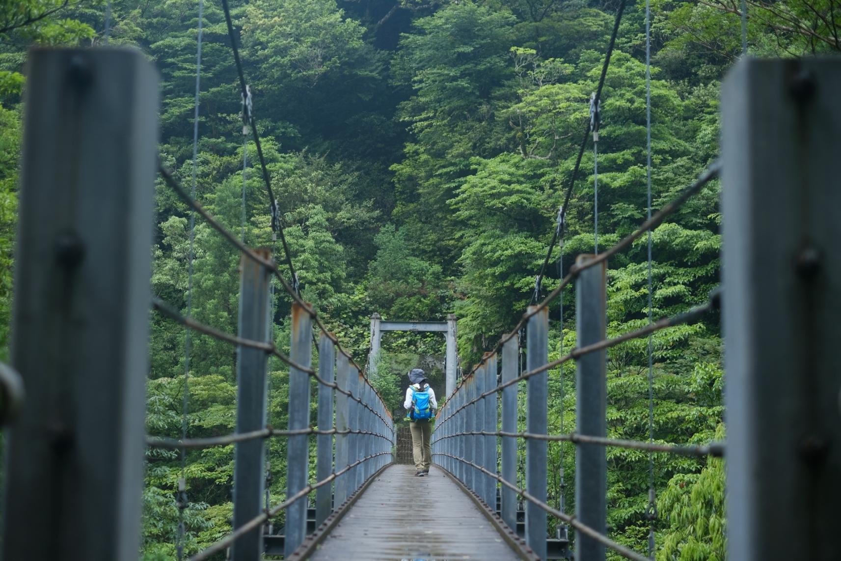 시라타니운스이쿄(白谷雲水峡)-6