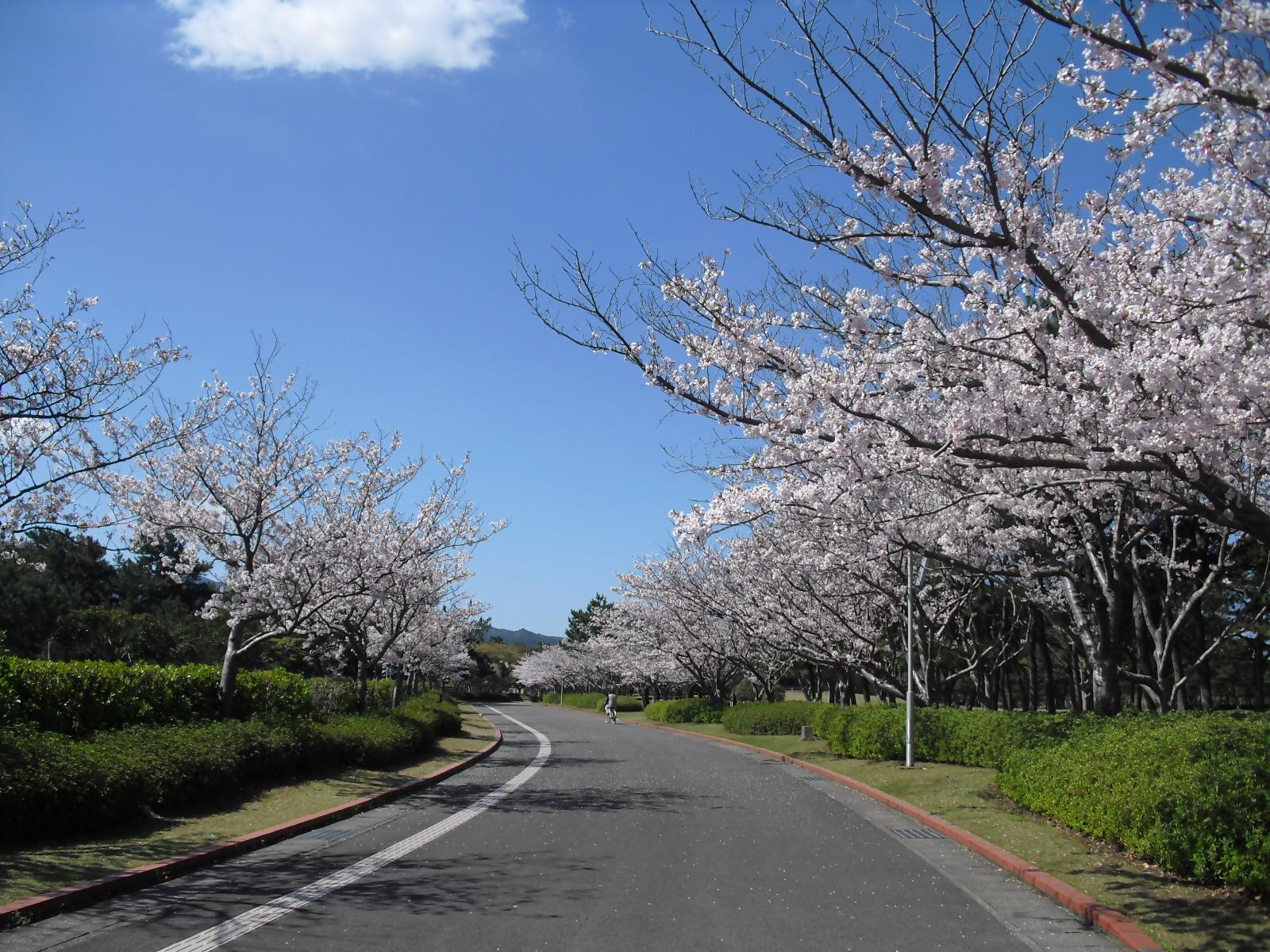 県立吹上浜海浜公園-0