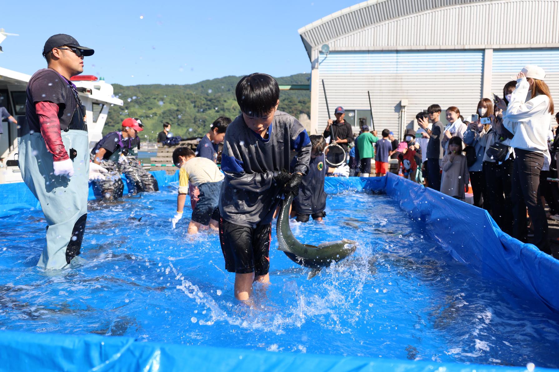 垂水カンパチ祭（垂水市）-0