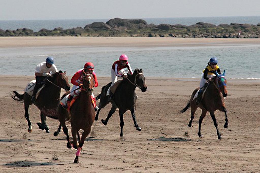 串木野浜競馬大会（いちき串木野市）-2