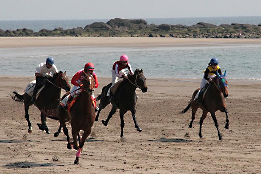 串木野浜競馬大会（いちき串木野市）-0