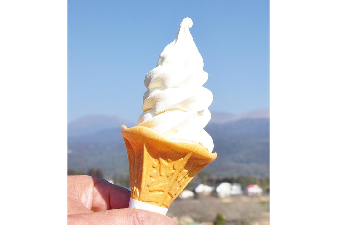 【宮崎県都城市】高千穂牧場（コスモス）-2