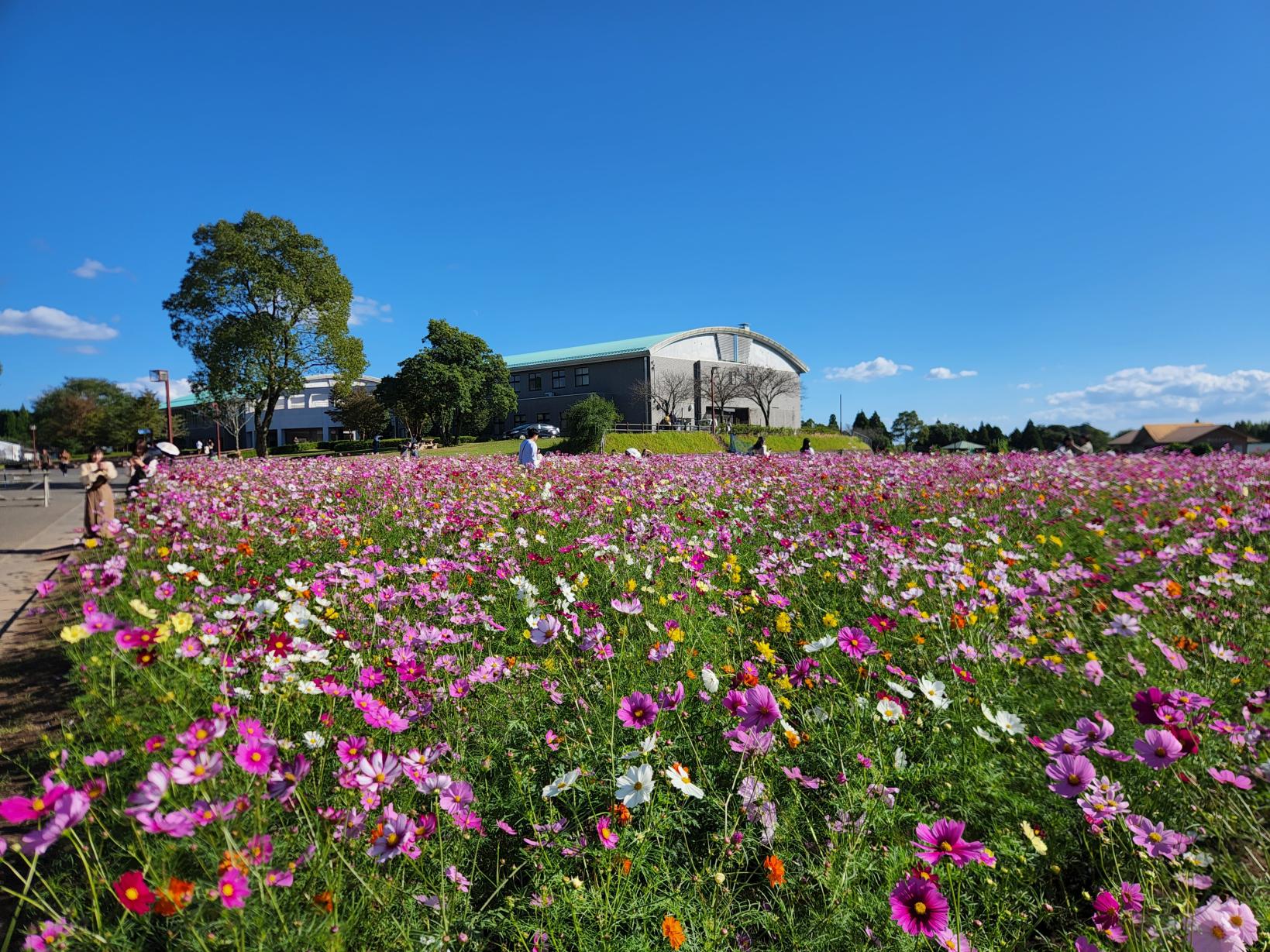 【鹿児島市】都市農業センター-2