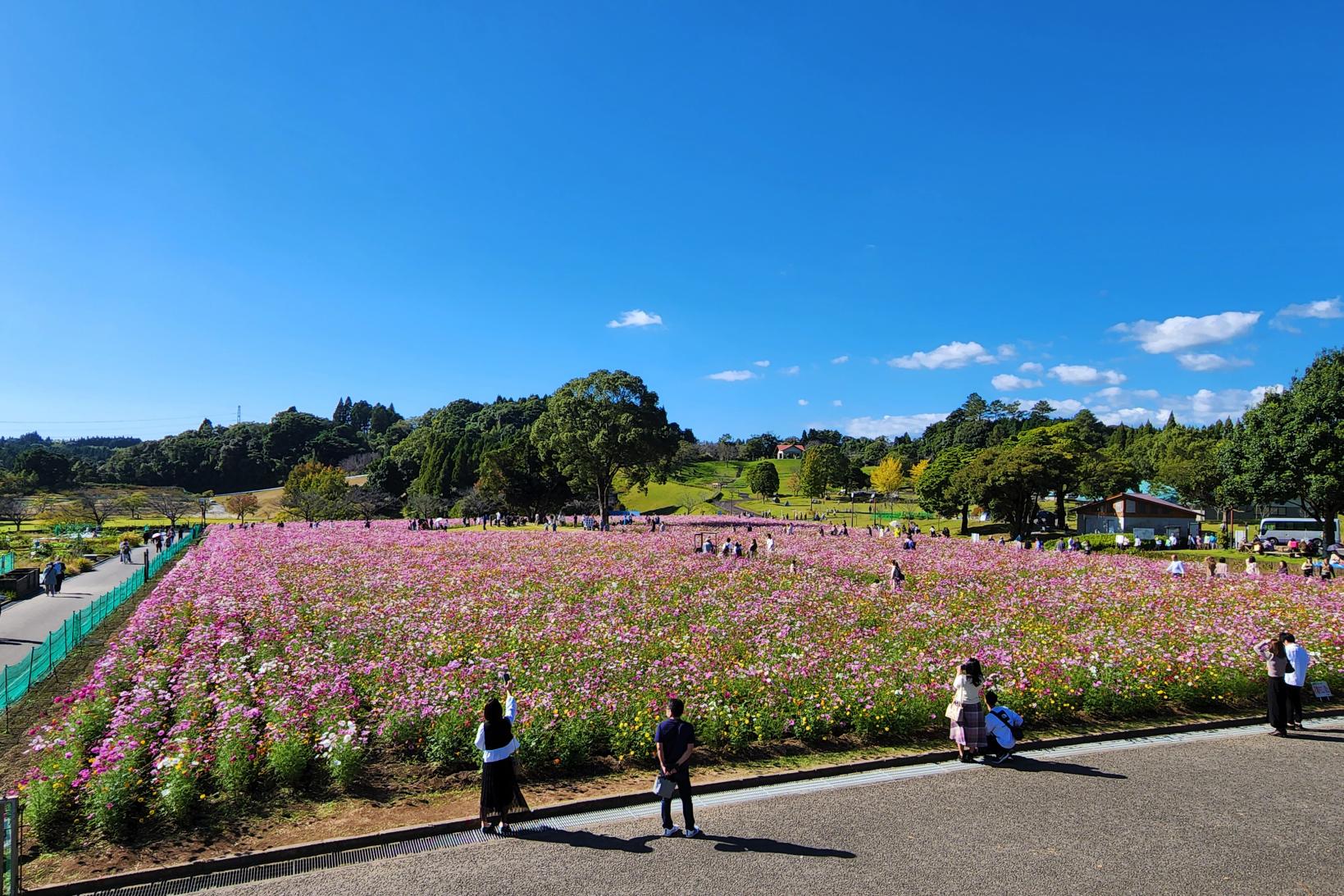【鹿児島市】都市農業センター-0