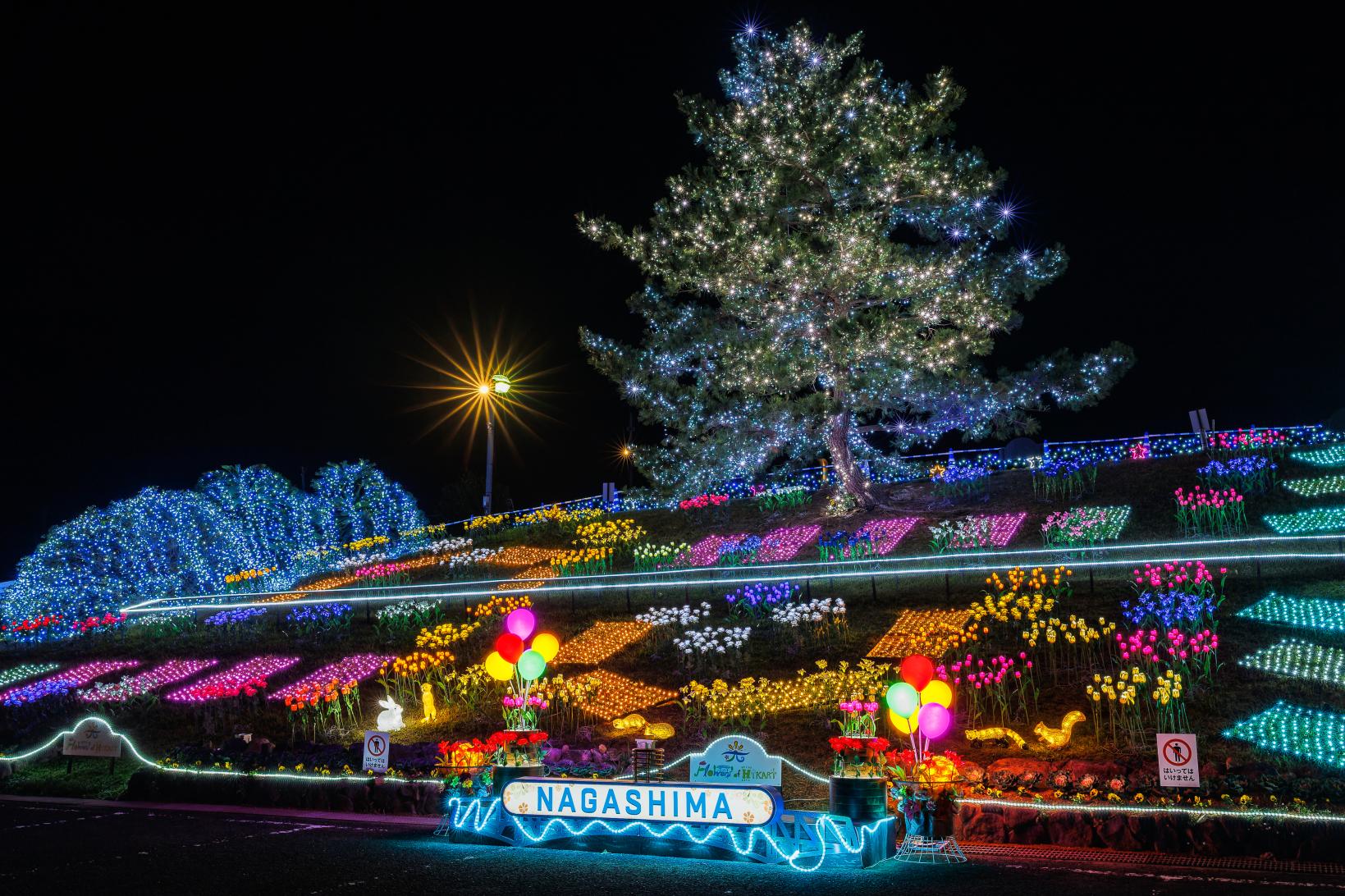 Flowers of HIKARI（フラワーズオブヒカリ）-0