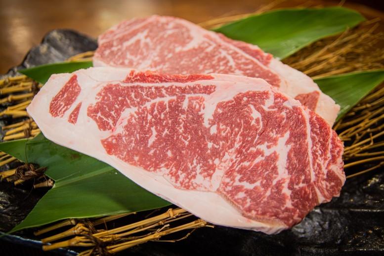 縄文牛の特徴-0