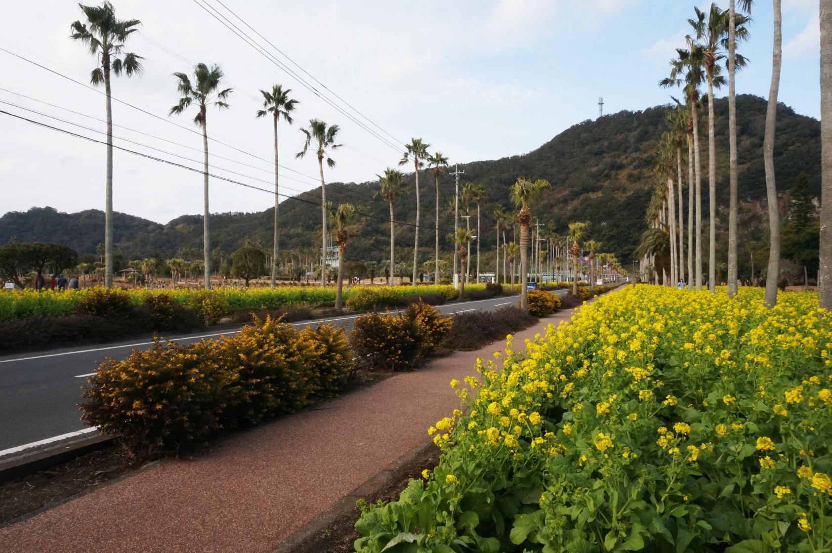 ③ふれあいプラザなのはな館・指宿市営陸上競技場周辺-1
