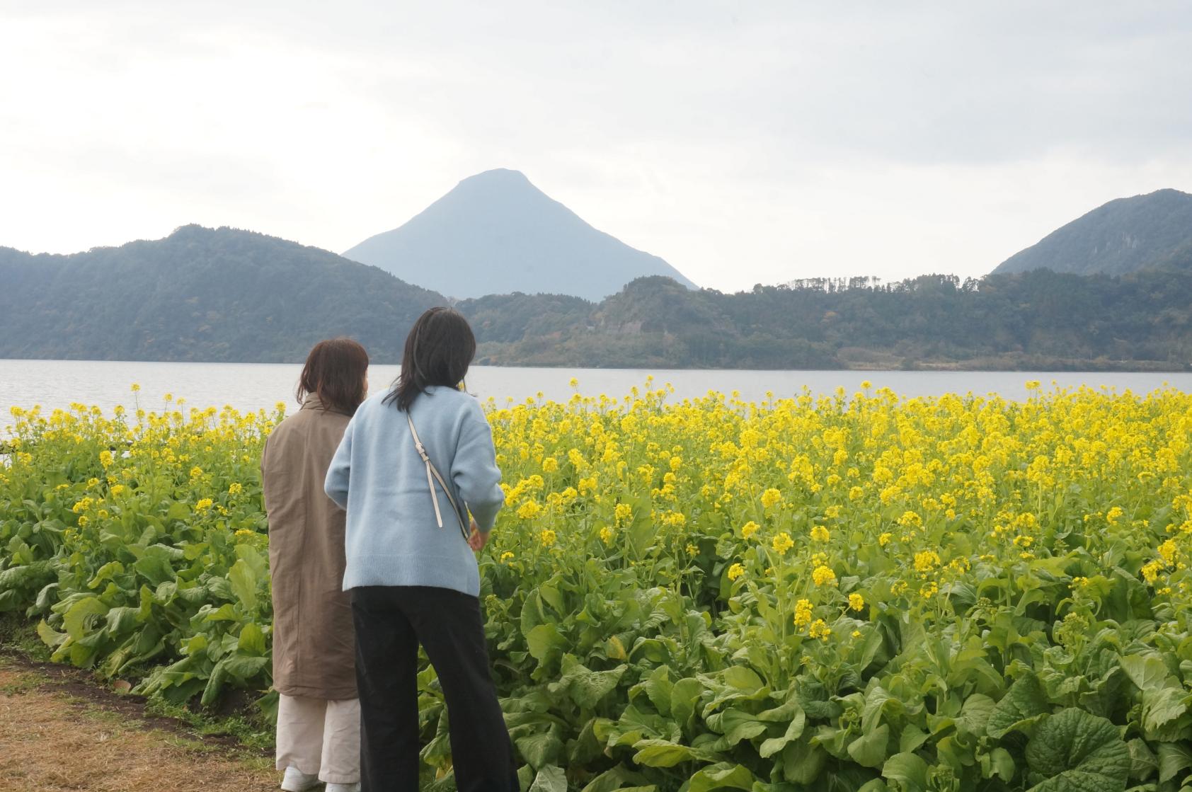 ①池田湖周辺-3