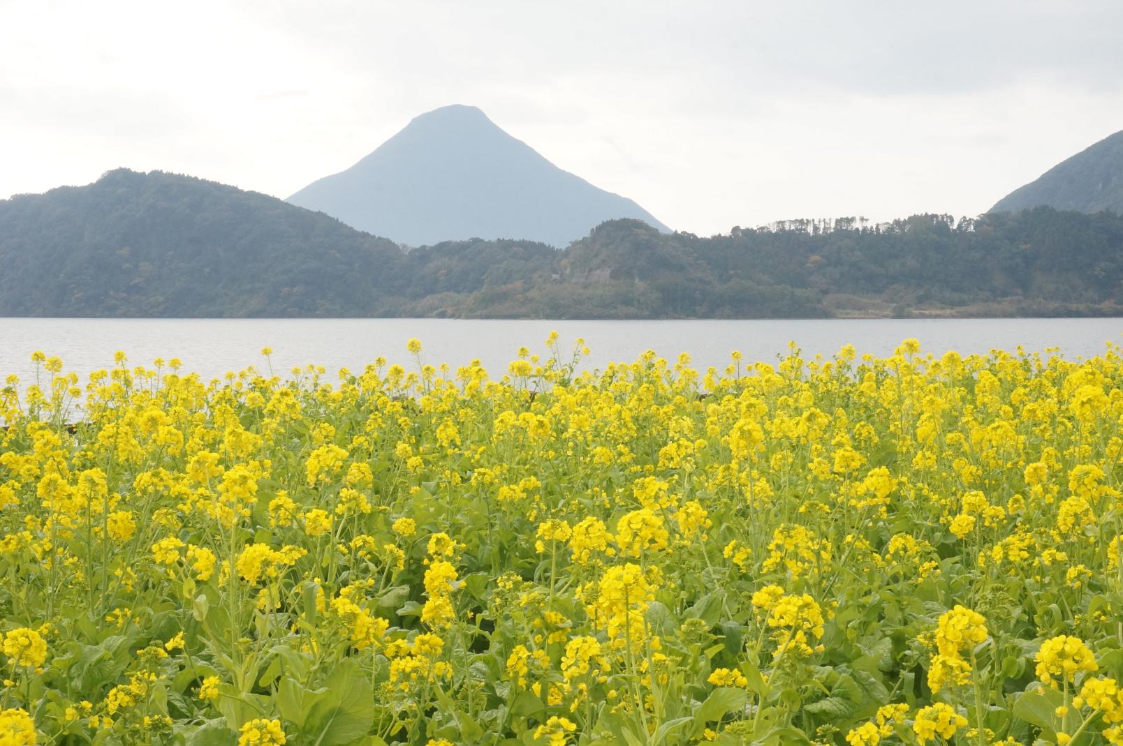 ①池田湖周辺-2