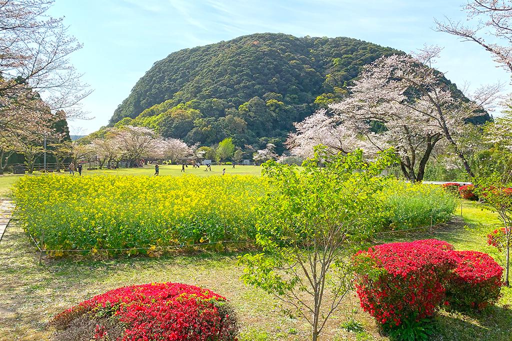 ②いこいの森　丸山公園【薩摩川内市】-1