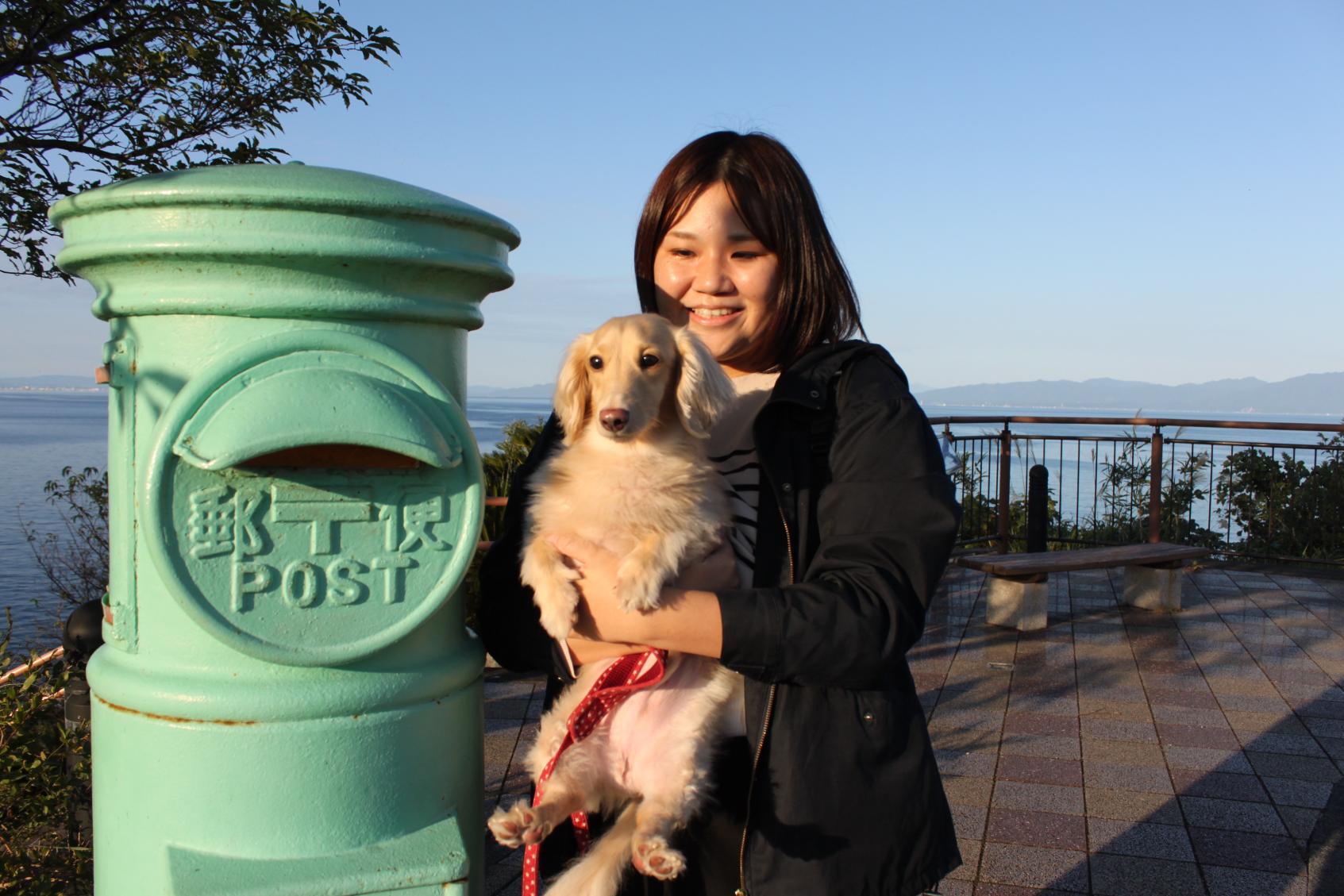 【モデルコース①】＼愛犬と行く 指宿１日コース／-3