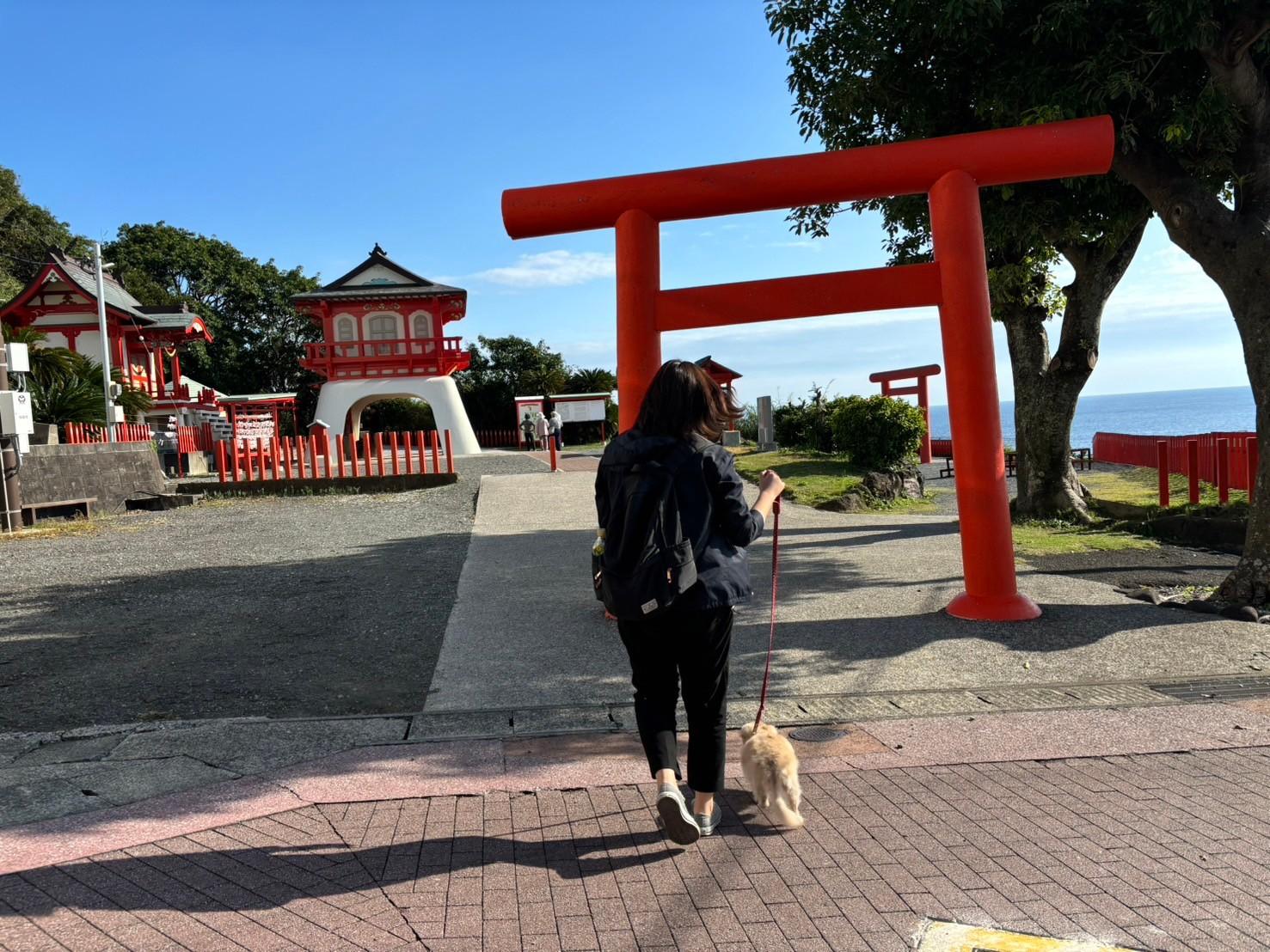 【モデルコース①】＼愛犬と行く 指宿１日コース／-8