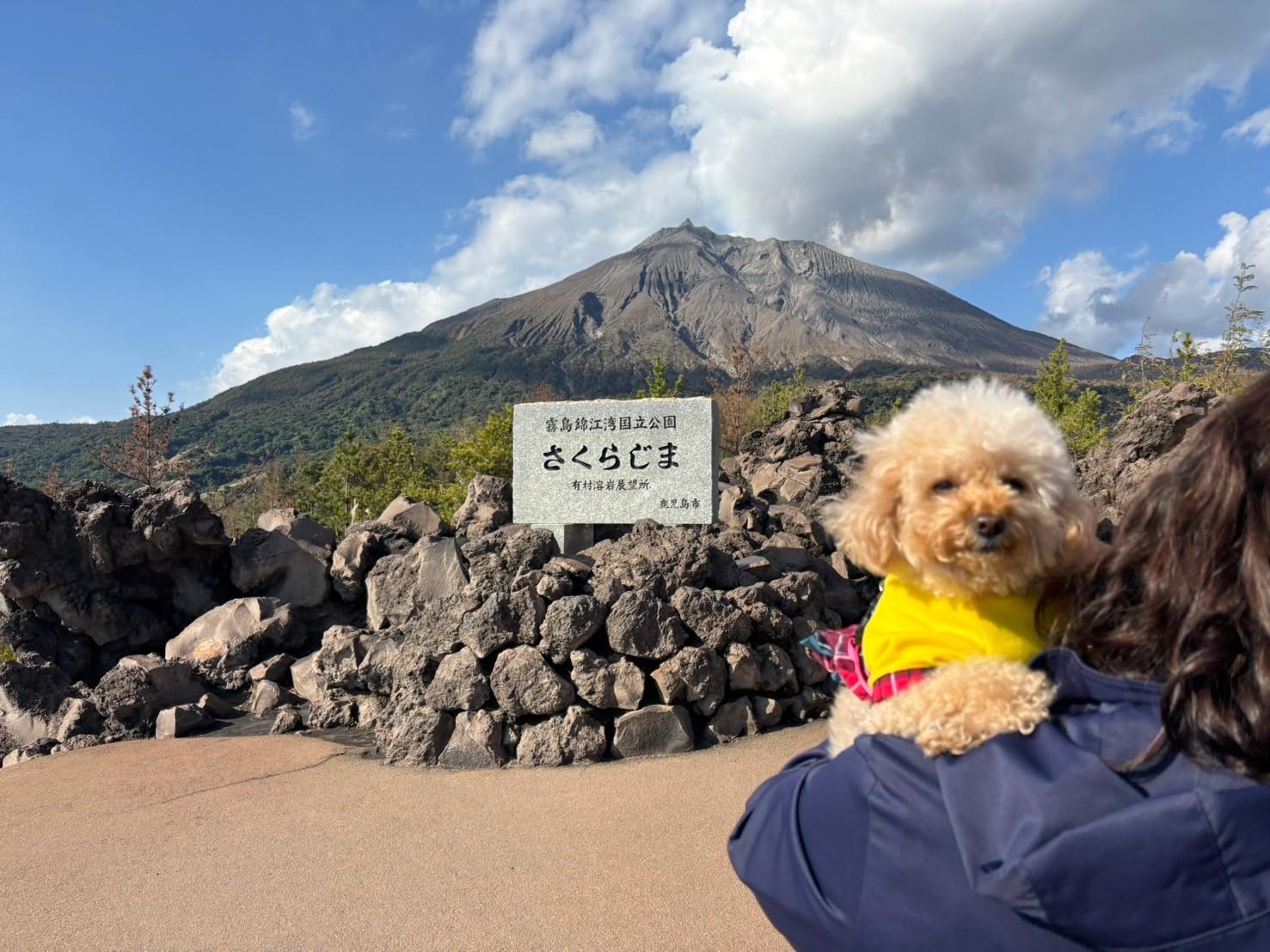 【モデルコース②】＼愛犬と行く 霧島～桜島を巡る１泊２日コース／-4