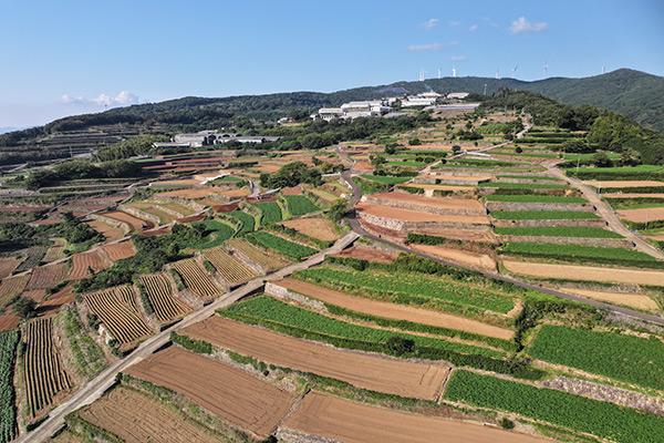 長島おすすめスポット-1