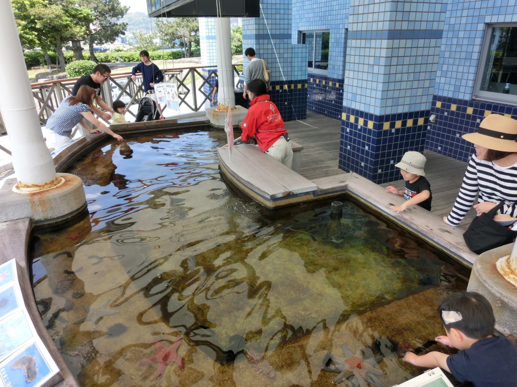 いおワールドかごしま水族館（鹿児島市）-3