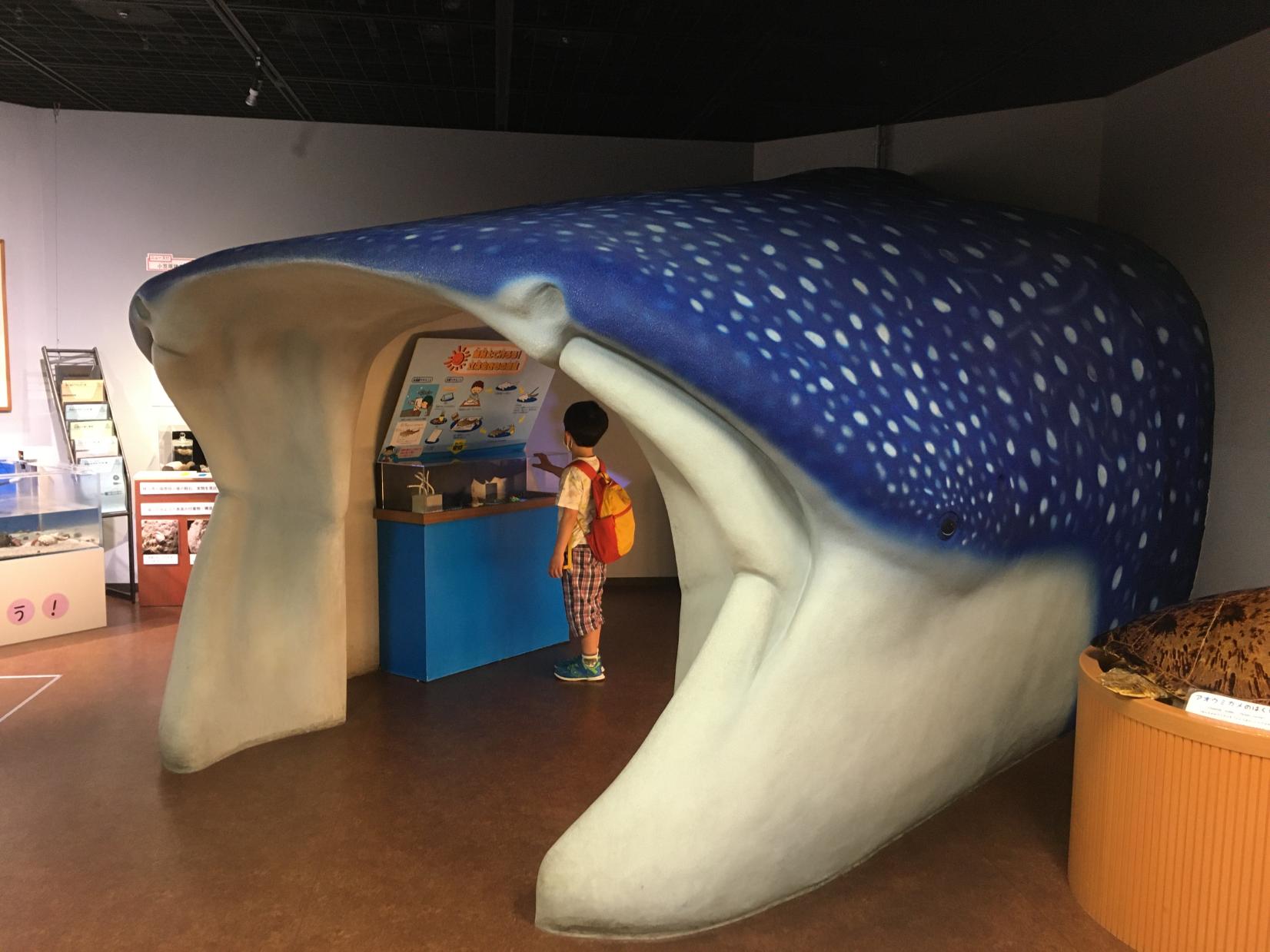 いおワールドかごしま水族館（鹿児島市）-4