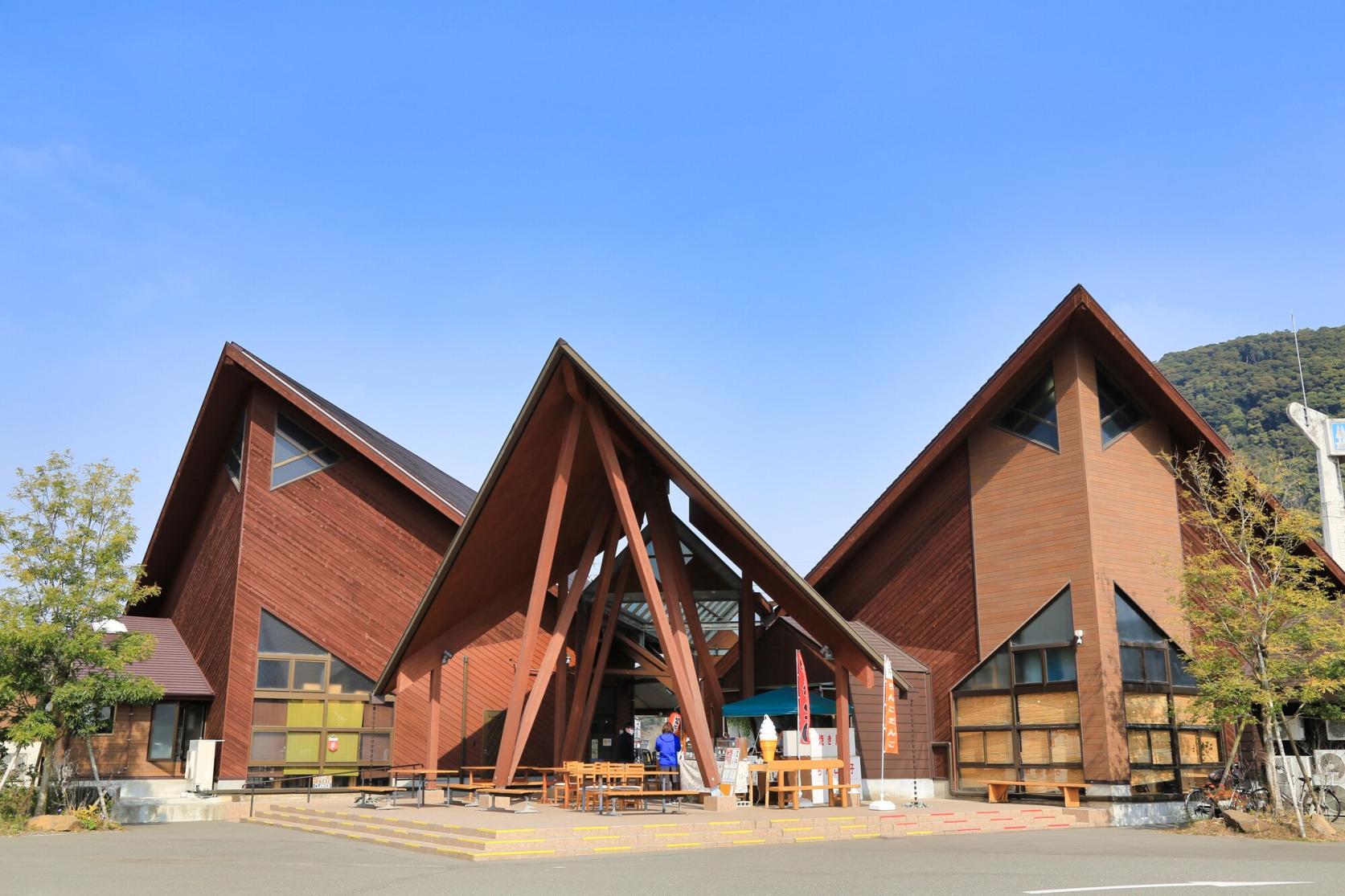 お土産を買うならココ！道の駅「樋脇」遊湯館-1