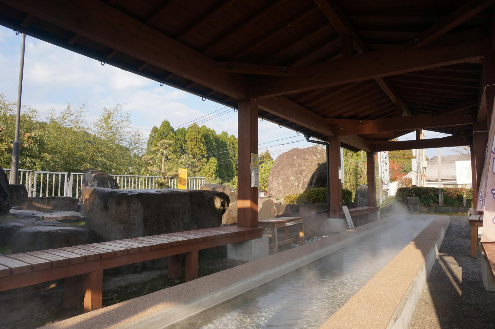 お土産を買うならココ！道の駅「樋脇」遊湯館-3
