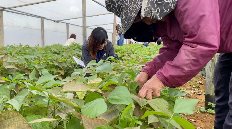 つながるゆんぬんちゅと農村体験＆しま旅inヨロン島-0