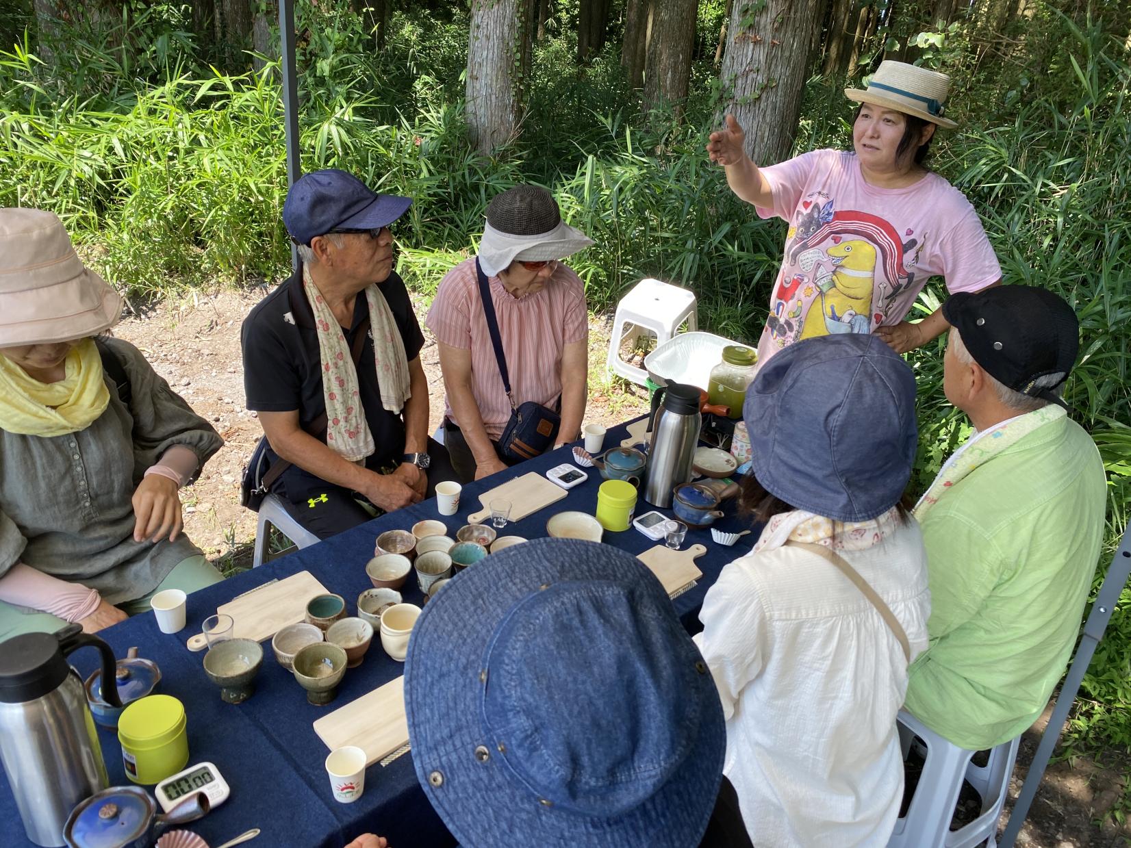 お茶の野本園　茶畑見学・お茶入れ体験-2