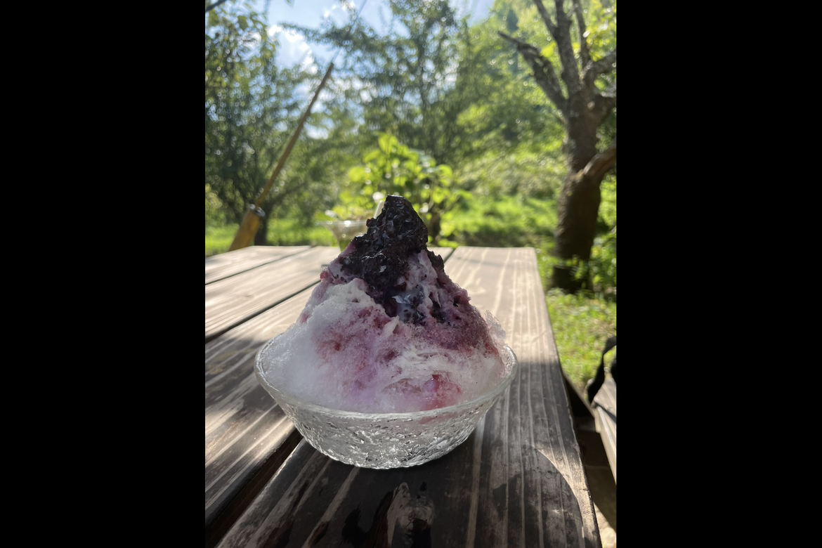 ブルーベリー収穫体験（30分食べ放題付き）-4