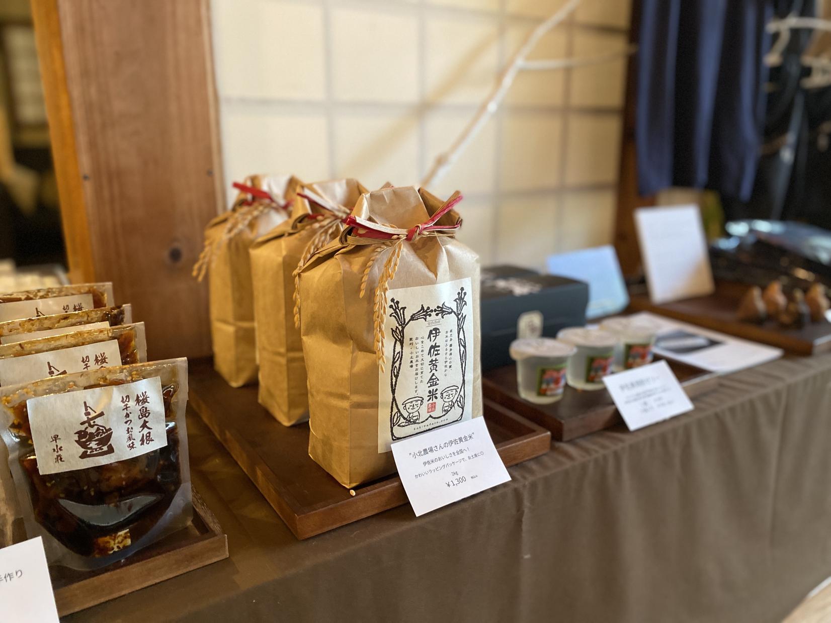 小北農場の「伊佐米」お米ワークショップ-2