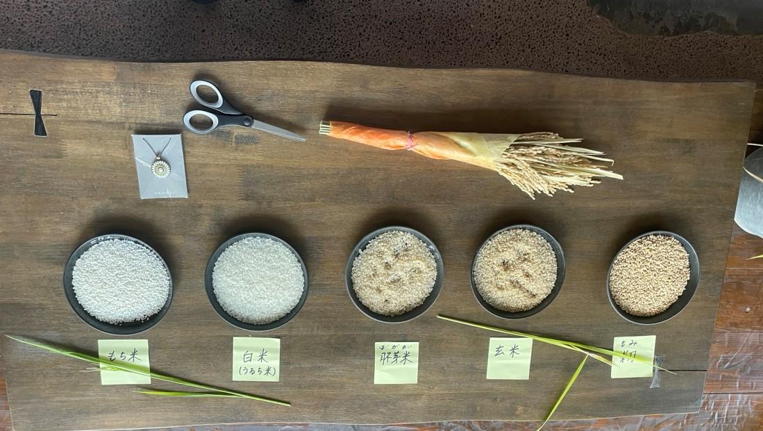 小北農場の「伊佐米」お米ワークショップ-5