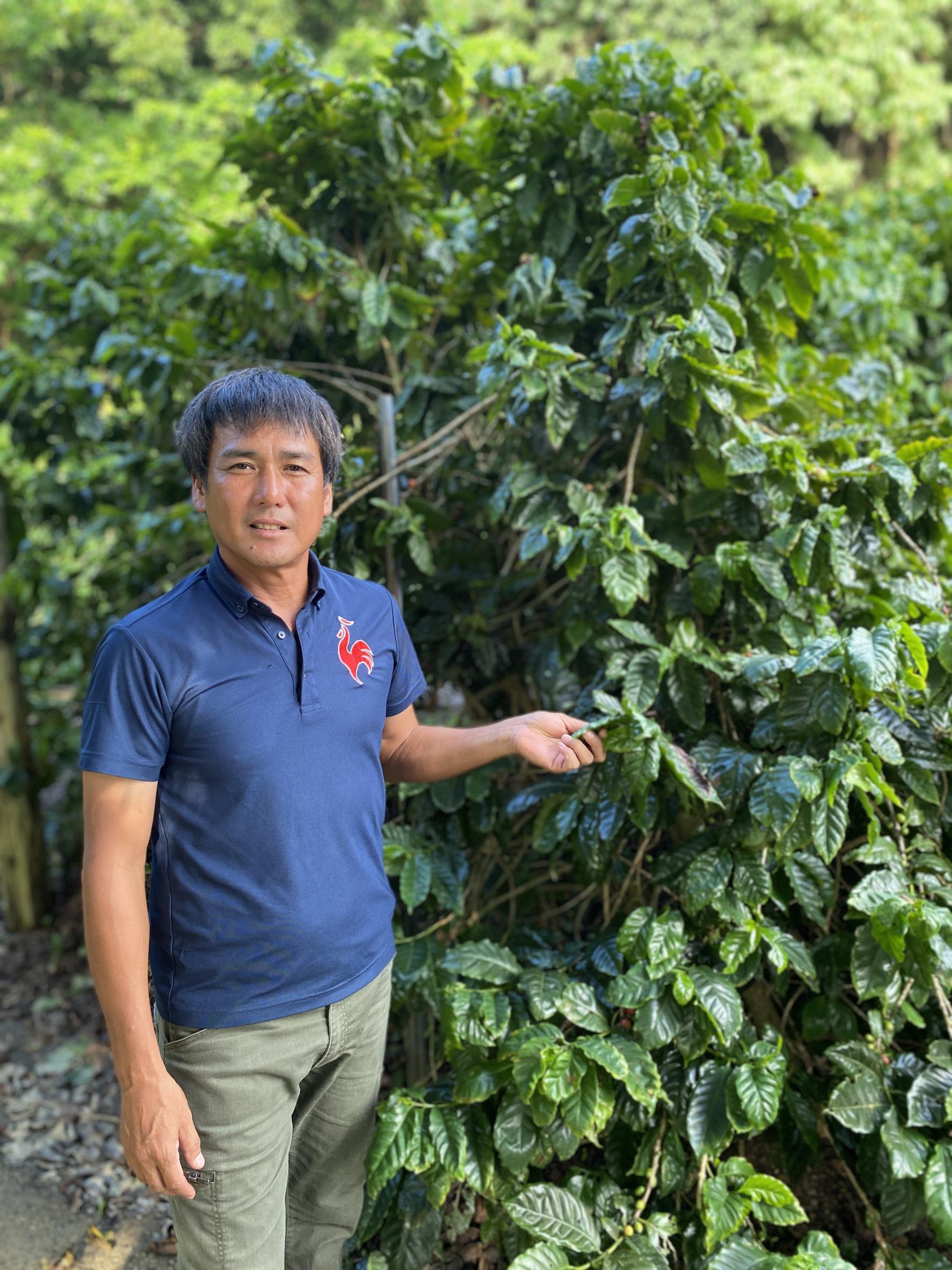 与論産農園見学・収穫体験（モリンガ・コーヒー・いんげんまめ）-3