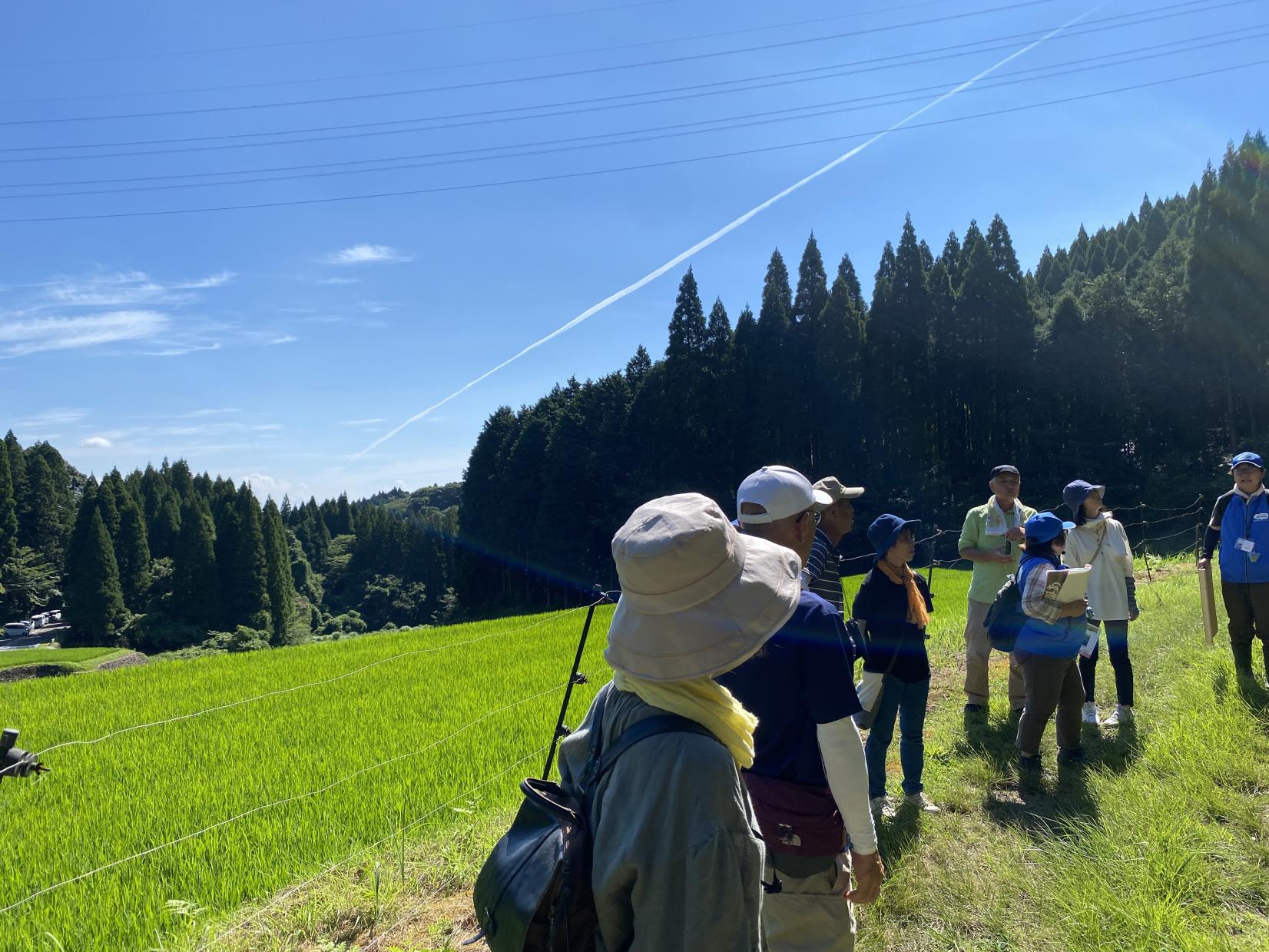 日本棚田百選「幸田の棚田」見学-1