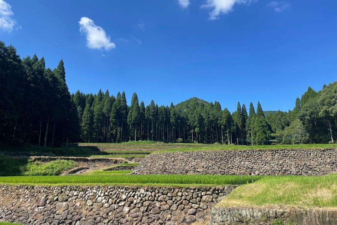 日本棚田百選「幸田の棚田」見学-4