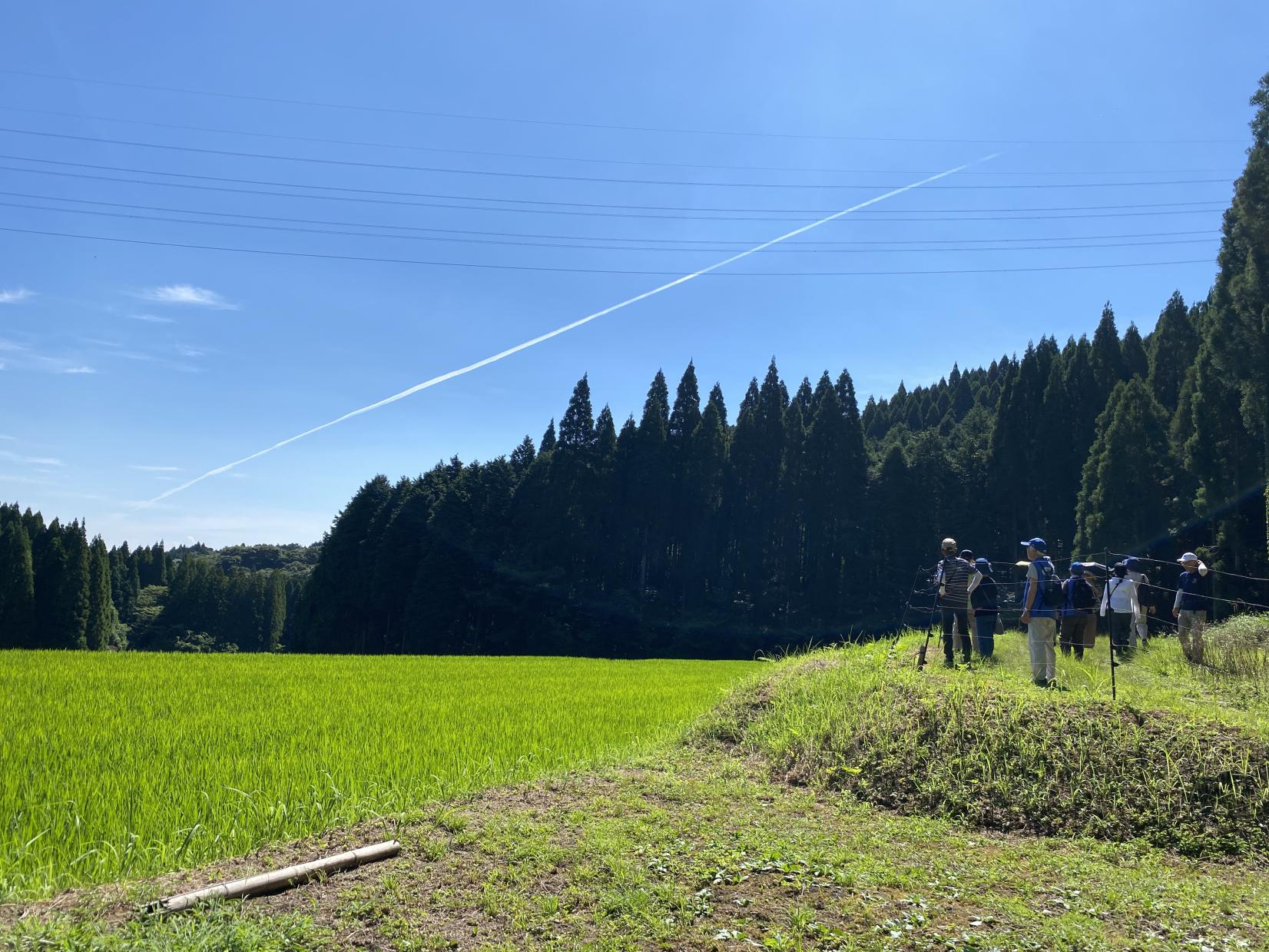 日本棚田百選「幸田の棚田」見学-0
