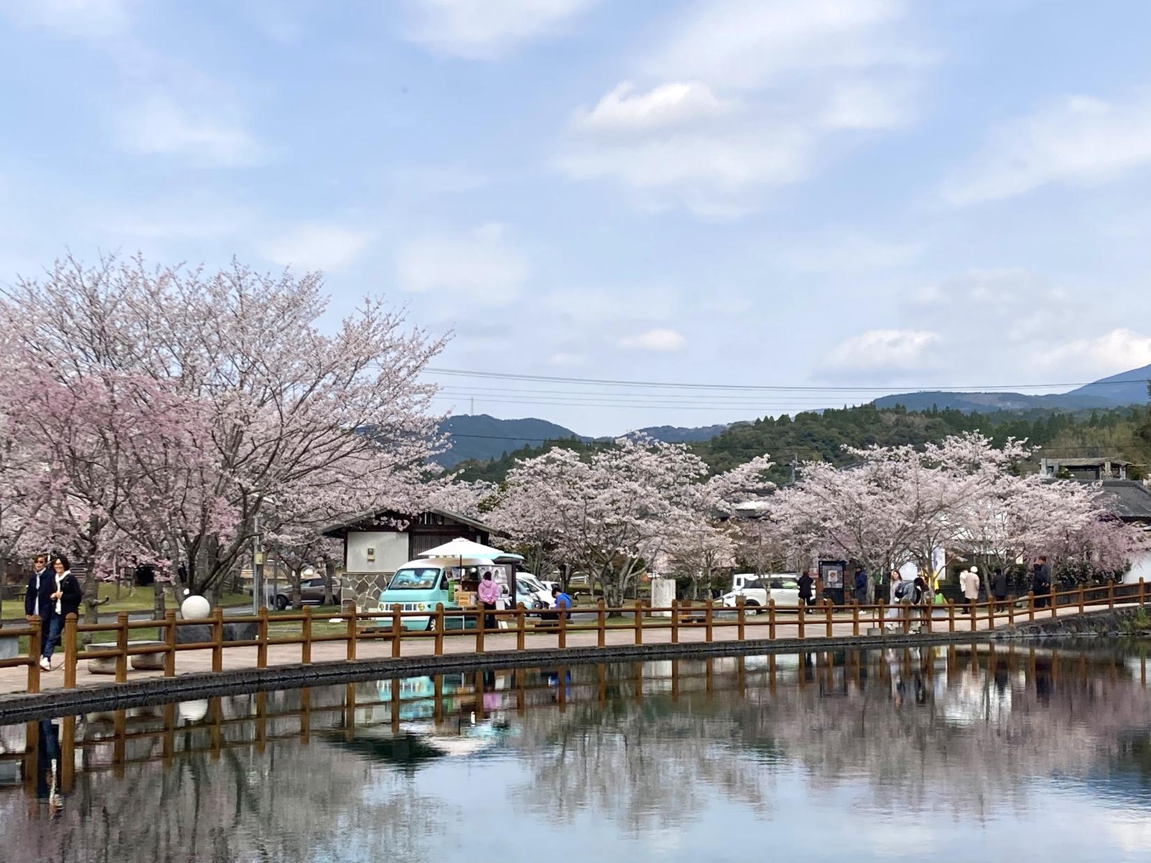 丸池湧水-1