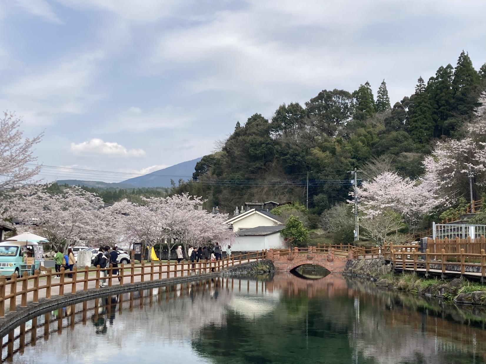丸池湧水-3