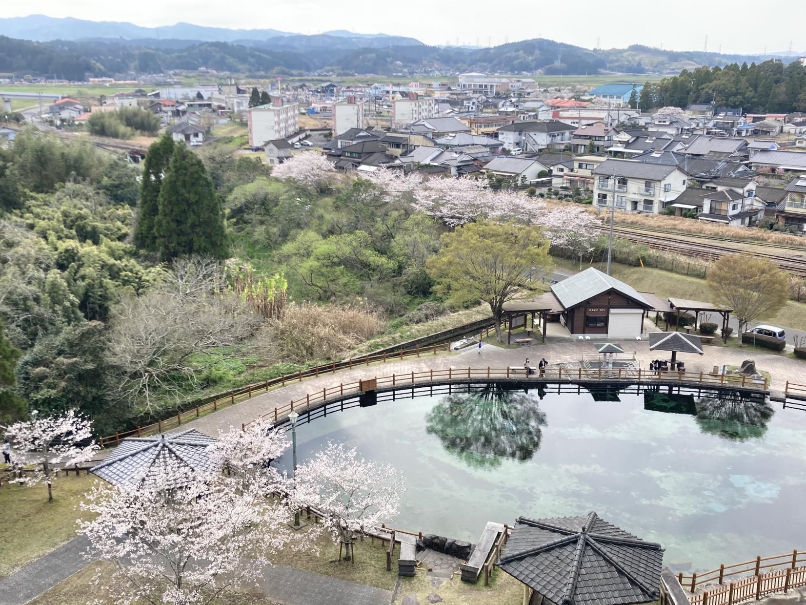 丸池湧水-0
