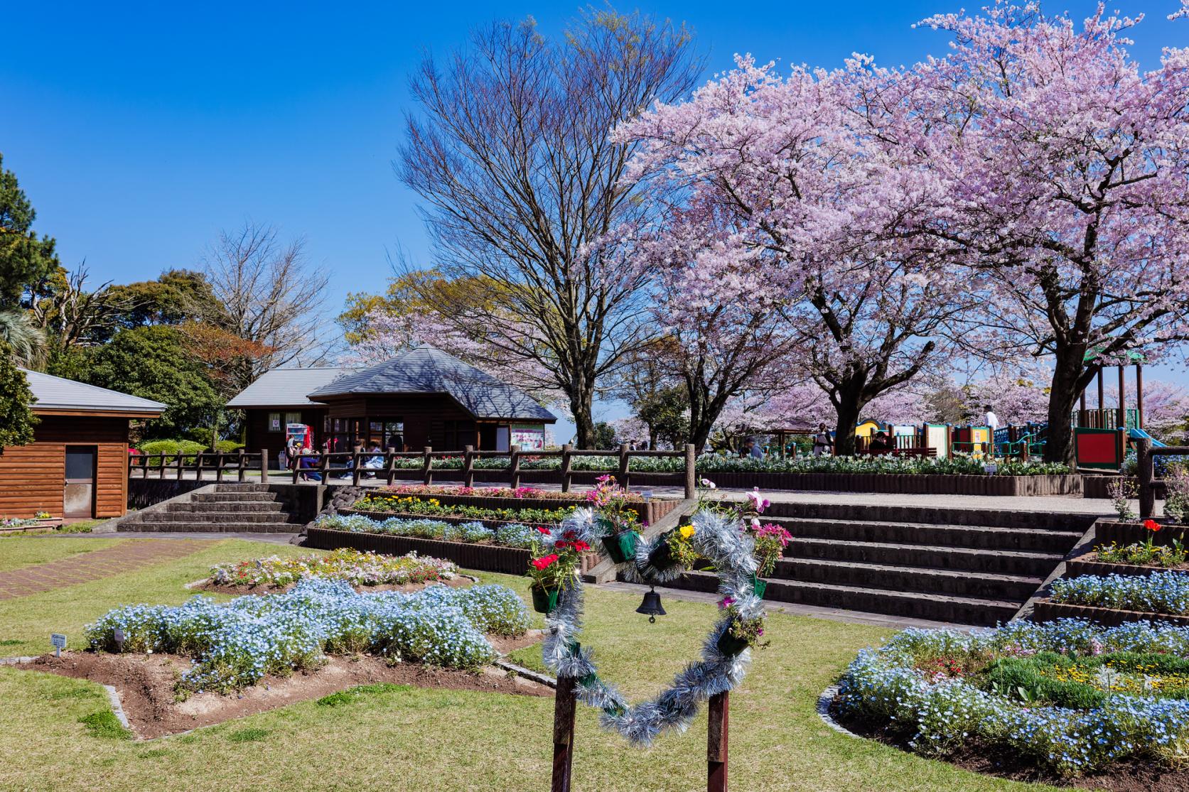 寺山いこいの広場（薩摩川内市）-3