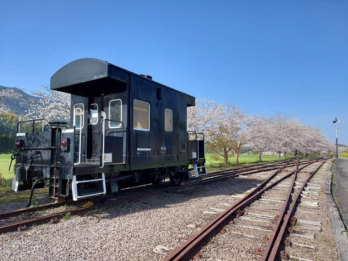 永野鉄道記念館の桜並木-2