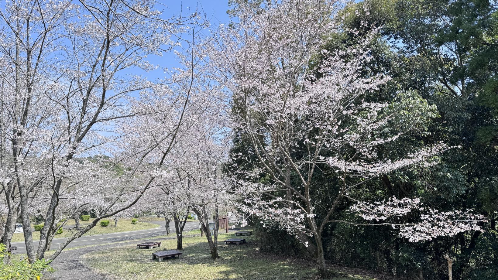 鹿児島県立大隅広域公園-7