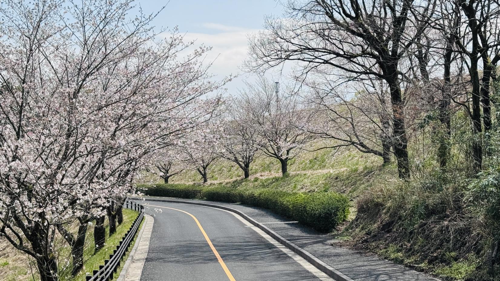鹿児島県立大隅広域公園-2